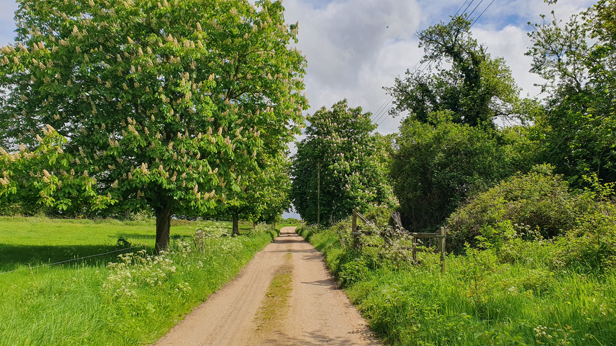 The drive to The Old Potting Shed accommodation